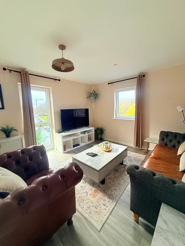 Pristine Living Area Setup